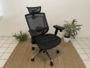 NeueChair Test/ Review NeueChair Test/ Review