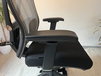 FlexiSpot BS14 Armlehnen
