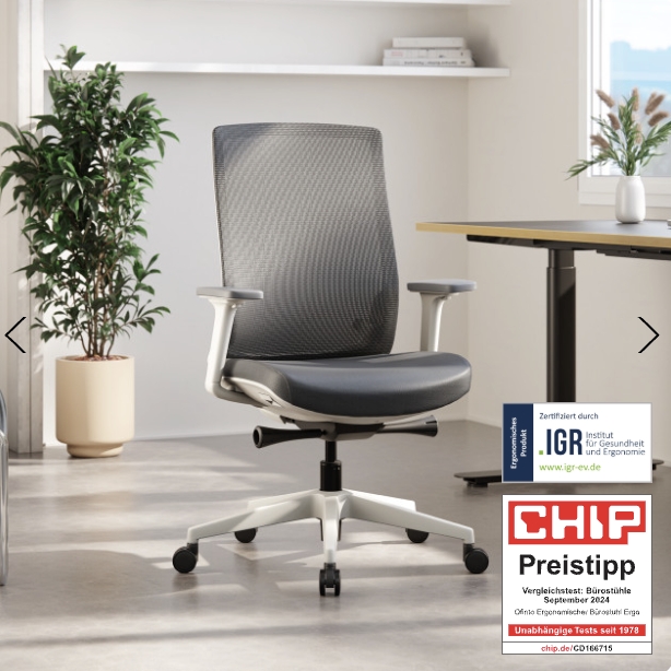 Ofinto Ergo Bürostuhl Test