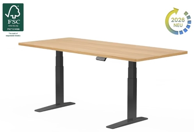 Schreibtisch höhenverstellbar elektrisch Test